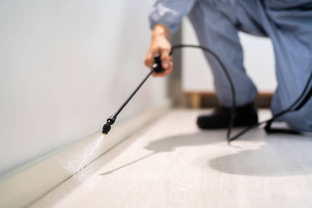 Licensed Cockroach Control service in Cordova, AK - Nex Pest Control