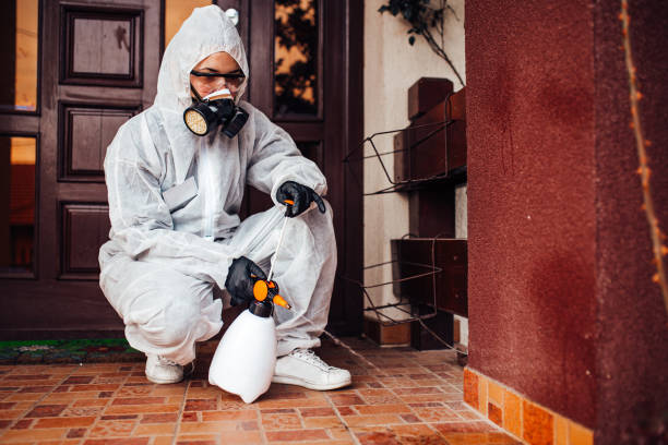 Reliable Cockroach Control contractor in Cordova, AK by Nex Pest Control