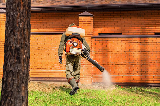 Trusted Cockroach Control service in Cordova, AK - Nex Pest Control